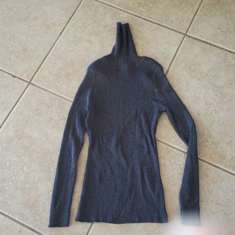 Joseph A stretch metallic turtleneck